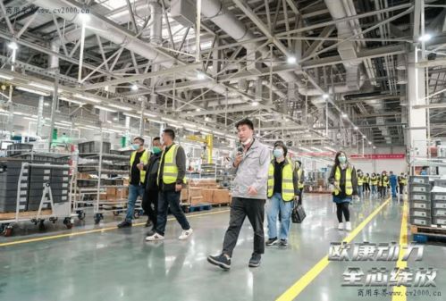 合规蓝牌轻卡自主品牌发动机崛起 能否成为用户首选动力及投资管理展望